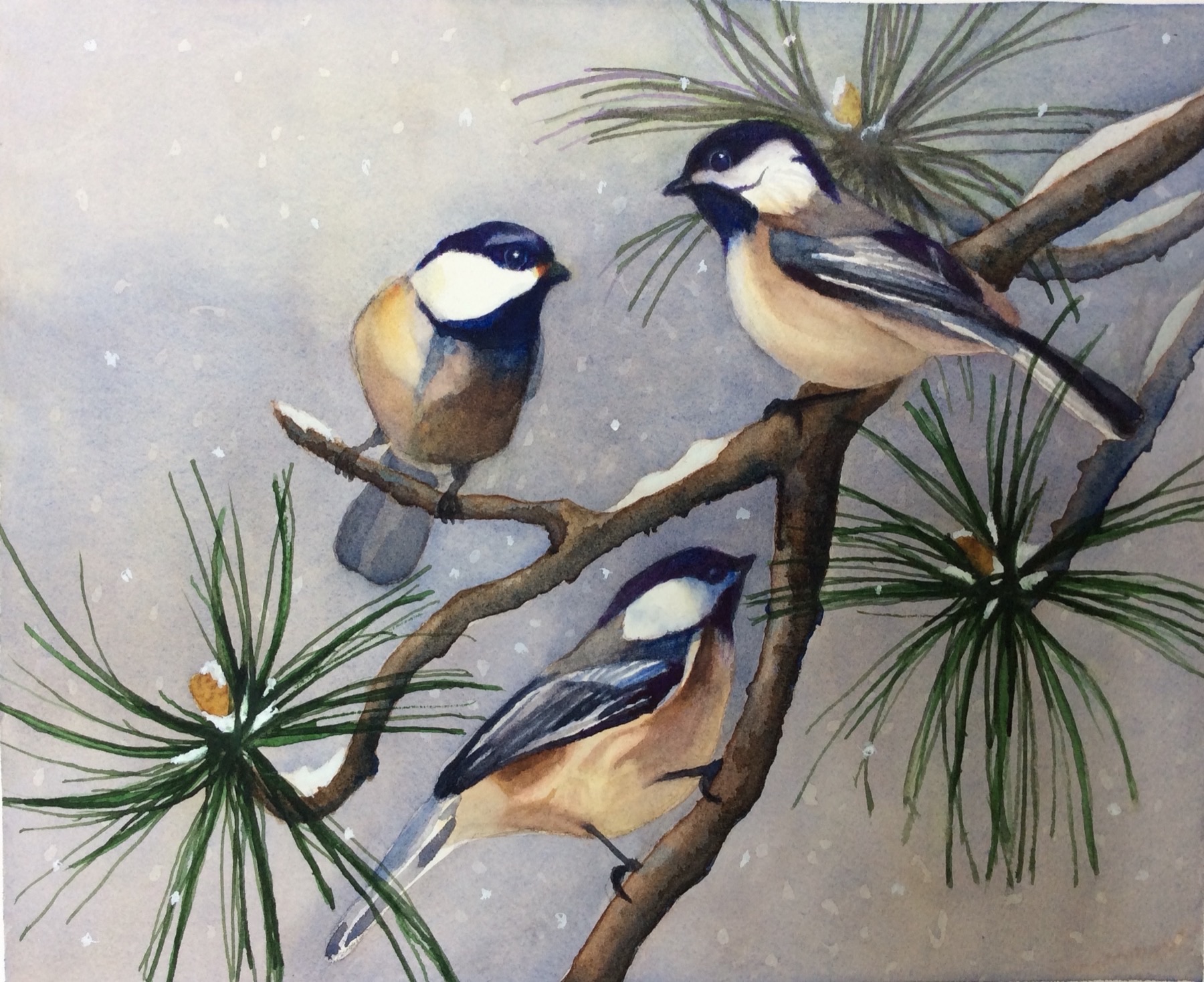 Watercolor painting of three chickadees on a snowy pine branch