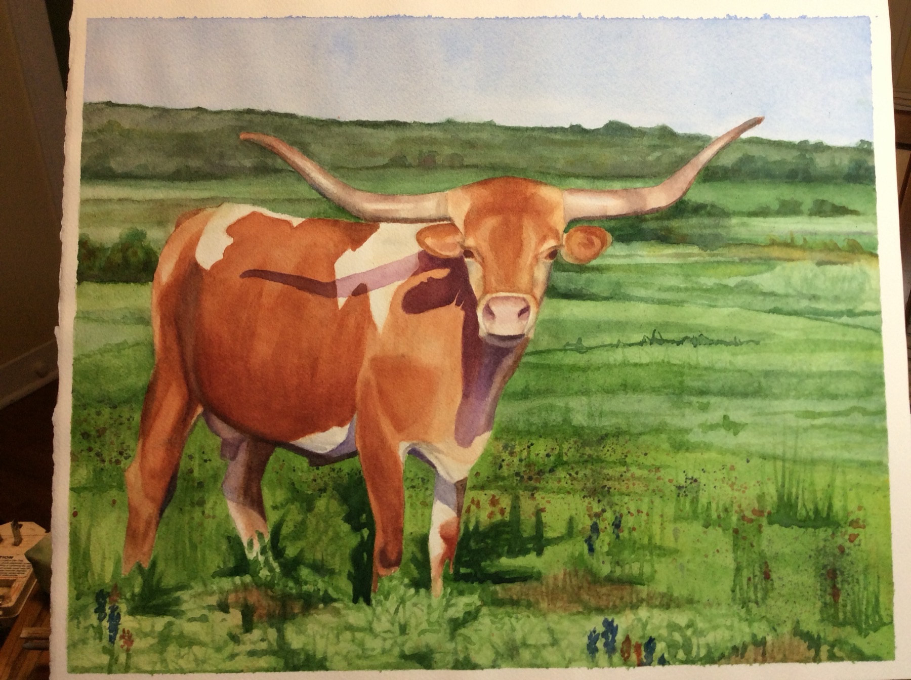 Texas longhorn watercolor painting in a bluebonnet field