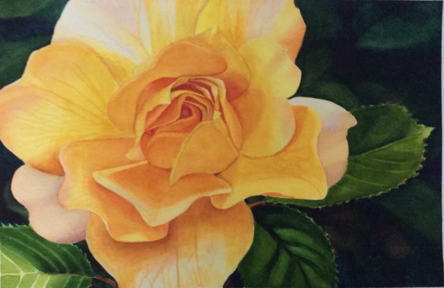 Florals watercolor paintings